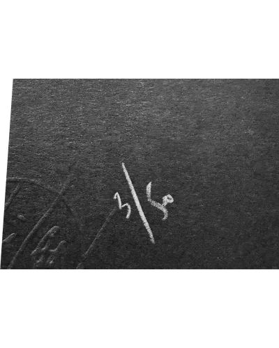 Coffret Hom Nguyen 8 Lithographies