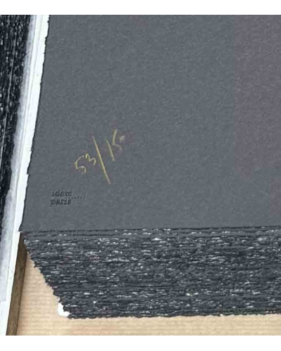 Lithographie Hom Nguyen